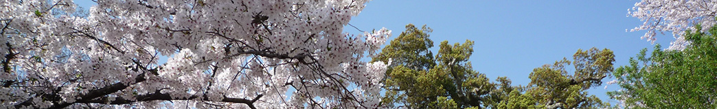 和歌山市立　芦原小学校