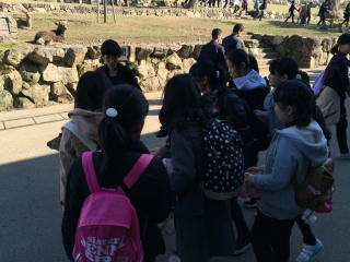 奈良公園