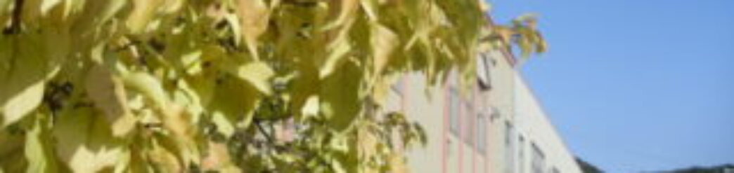 和歌山市立　藤戸台小学校