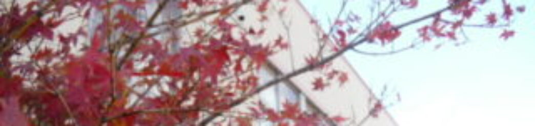 和歌山市立　藤戸台小学校