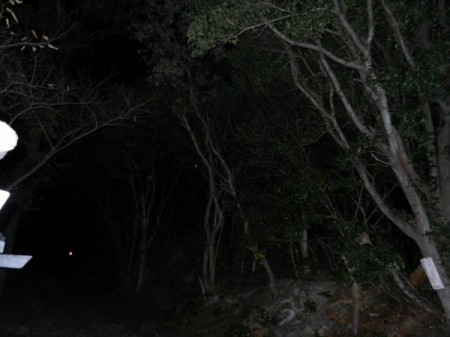 DSCN0590