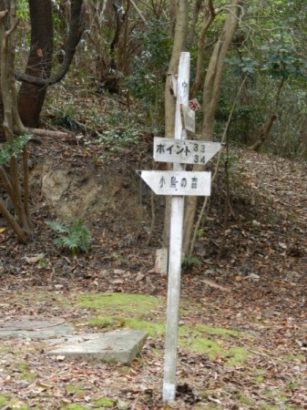 DSCN0606