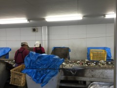 IMG_0730