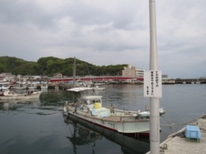 IMG_1517