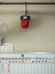 DSCF4202