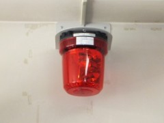 DSCF4203