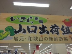 DSCF4292