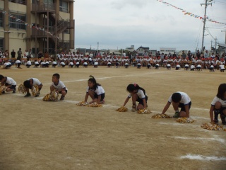 DSCF7755