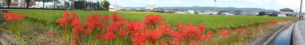 和歌山市立　川永小学校