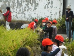 DSCF7442