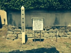 写真 4
