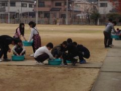 IMG_3791[1]