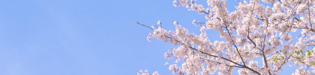 和歌山市立　楠見東小学校