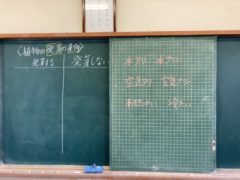 発芽の条件は 5年 和歌山市立 楠見西小学校