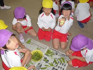 1s-P1130030