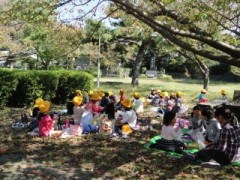 DSC00512 (2)