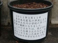 CIMG5496