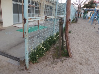 P1180612
