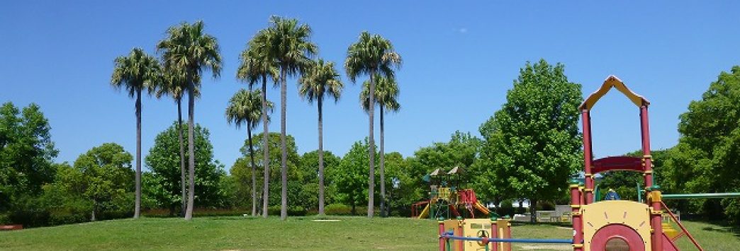 和歌山市立　西脇小学校