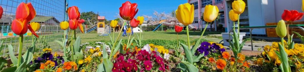 和歌山市立西脇幼稚園