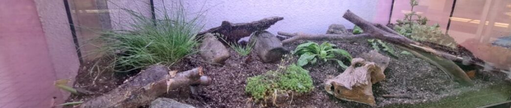 和歌山市立西脇幼稚園