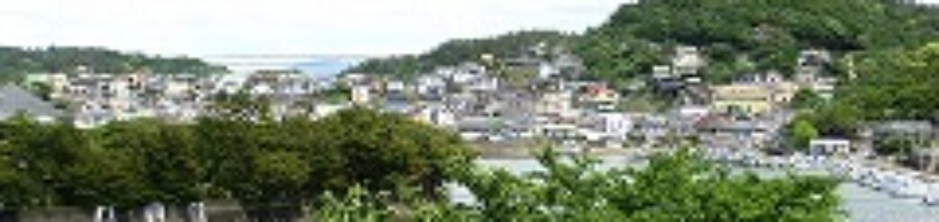 和歌山市立　雑賀崎小学校