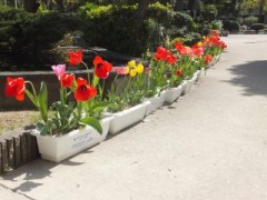 DSCF2892