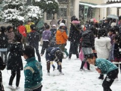DSCF4752