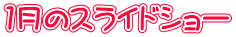 １月のスライドショー