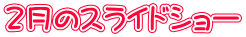 ２月のスライドショー