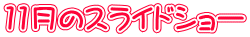 11月のスライドショー