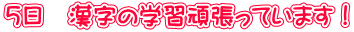5日 漢字の学習頑張っています!