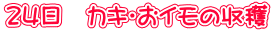24日 カキ・おイモの収穫