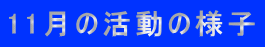 11月の活動の様子