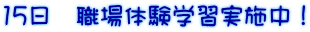 15日 職場体験学習実施中!