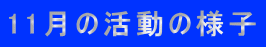 11月の活動の様子
