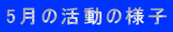 5月の活動の様子