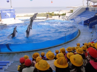 ３年遠足　みさき公園