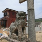 CIMG0499