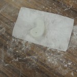 DSCN5416